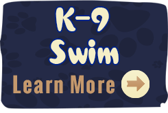 k-9-swim