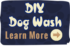 diy-dog-wash